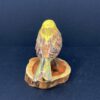 Goldammer – Bild 3