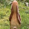 Hase Langohr – Bild 2