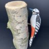 Buntspecht – Bild 3